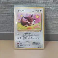 PSA8】 旧裏 イーブイ ポケモンジャングル 英語版 ポケモンカード