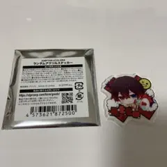 a.様専用ページ　AMPTAK ランダムアクリルステッカー　あっと