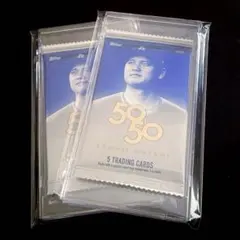 Item thumbnail for item c8c950e6-892a-4fb6-a223-a18a5fe4d32d