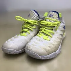 Item thumbnail for item f2514193-6055-4f15-81ca-7b06cc6402a5