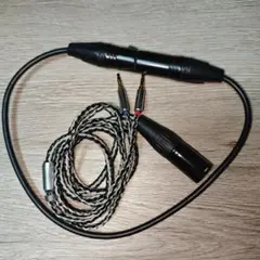 Item thumbnail for item 78225400-02f3-48e9-b585-32cac370efe6