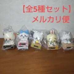 いっしょにがんばろ！ ダンボールウォッチ2　全5種セット