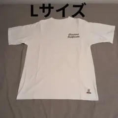 スタンダードカリフォルニア ボックスロゴ Tシャツ 白グレー M