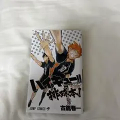 ハイキュー!! コンプリートガイドブック排球本！　　古舘春一