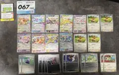 スタートデッキ100 67番　ミラー　イーブイ　ブイズ