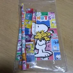 スヌーピー　メモ付き4点文具セット　メルカリ便　ポイント消費♪