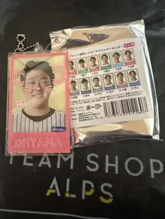 阪神タイガース ★ 大山悠輔★ 虎耳レイヤーアクリルキーホルダー 新品