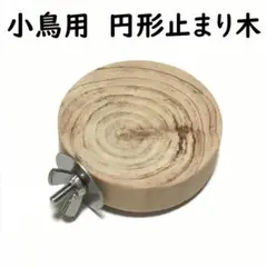 小鳥用　円形止まり木　小鳥・小動物用ステップ。のサムネイル