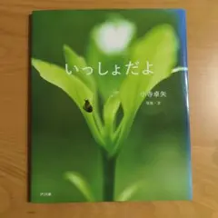 Item thumbnail for item 0ae9693d-da30-4159-b394-335e8131ef1d