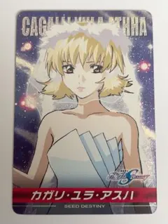 2026年最新】カガリ・ユラ・アスハカードの人気アイテム - メルカリ