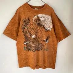 90s USA製 シングルステッチT アニマルプリントT デザインT 古着 鷹
