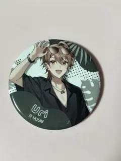 2025年最新】カラフルピーチ サマーランド 缶バッジ うりの人気