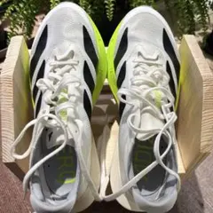 Item thumbnail for item a7730109-e0b0-46e0-b25c-e650bf16b58c