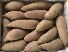 【農薬不使用】紅はるか　SS〜Sサイズ　1.5kg（箱込）No.40