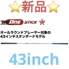 TRIONE STICK 43インチ スタンダードモデル