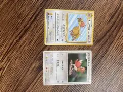 オニドリル ◇ 第2弾拡張パック ポケモンジャングル - メルカリ