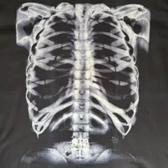 2026年最新】光る 人体骨格の人気アイテム - メルカリ