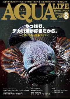 月刊アクアライフ まとめ売りページ 1990～1999 年間単位バラ売り可能 2026年最新】アクアライフの人気アイテム - メルカリ