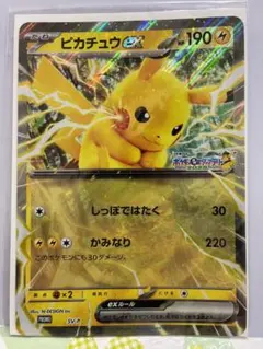 うんにゃฅ(=・ω・=)ฅ様 リクエスト 2点 まとめ商品