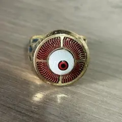 家庭教師ヒットマンREBORN ヘルリング 六道骸 ボンゴレリング 瞳 霧 ①