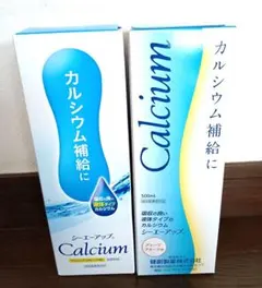 カルシウム飲料 シーエーアップ 500ml×2本セット 指定医薬部外品 健創製薬