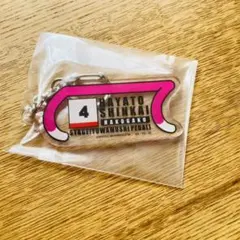 弱ペダ ペダステ アニカフェ アクキー 新開 隼人