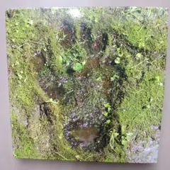 Item thumbnail for item 177837c0-22e9-4ec8-80ed-52bc34537b57