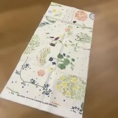 Item thumbnail for item f5566c22-62b9-4868-a468-76d97468f479