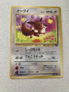 美品】旧裏 希少 イーブイ ○ 第2弾拡張パック ポケモンジャングル