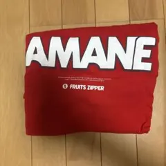 2025年最新】グループ名：FRUITS ZIPPER Tシャツ・アパレルの