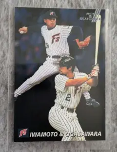 Item thumbnail for item 9bc7773e-8169-4225-b072-00d2bf33d2fd