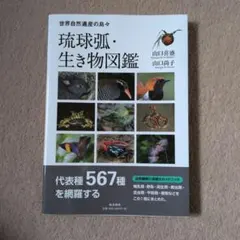 琉球弧・生き物図鑑