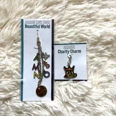 嵐 Beautiful World チャリティーチャーム ストラップライブグッズ