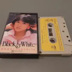 Item thumbnail for item 3fe56700-0cb3-4c3a-aafd-0ad17f1ea8a3