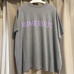 りーたん様専用RADIATE ロゴカットソー