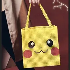 JEANASIS Pokemon コラボ 完売品 新品未使用 レア 希少 バッグのサムネイル