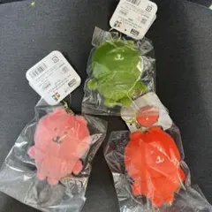 しばライオン同封❌様　専用　3点セット