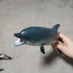 海洋生物 フィギュア 5体セット イルカ クジラ サメ