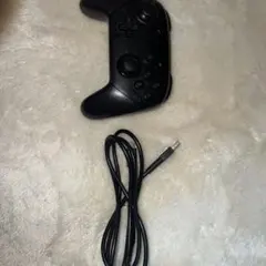 【最短翌日お届け】Nintendoスイッチ プロコン 純正 S73-k【美品】