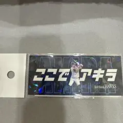 Item thumbnail for item 9598e2bc-b11a-4860-b3fb-f6ee742cdb68