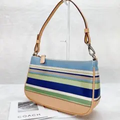 ✨極美品✨COACH アクセサリーポーチ ストライプ ハンドバッグ キャンバス