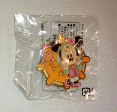 ディズニーシー　5周年記念 ピンバッジ