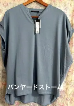 BARNYARDSTORM Tシャツ ブルー 新品のサムネイル