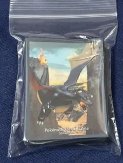 2025年最新】色違いリザードンの人気アイテム - メルカリ