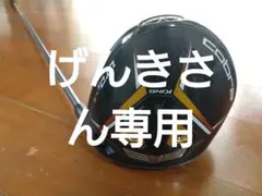 Item thumbnail for item 65f31e47-b7bc-4f4c-a58a-30dbe3f3f373