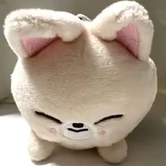 FoxI.Ny ミニバッグチャーム ツムツム Straykids アイエン