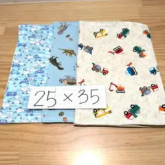 男の子柄♪ランチョンマット25×35☆3枚セット・裏地付き