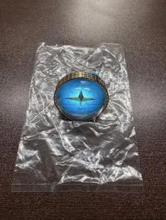 セカライ5th リングライトA 白石杏②