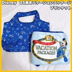 Disney ディズニー35周年バケーションパッケージ ブランケット　専用バッグ