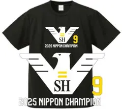 Item thumbnail for item 1ff652cf-e1b0-44b2-9725-cd67faabf9c5